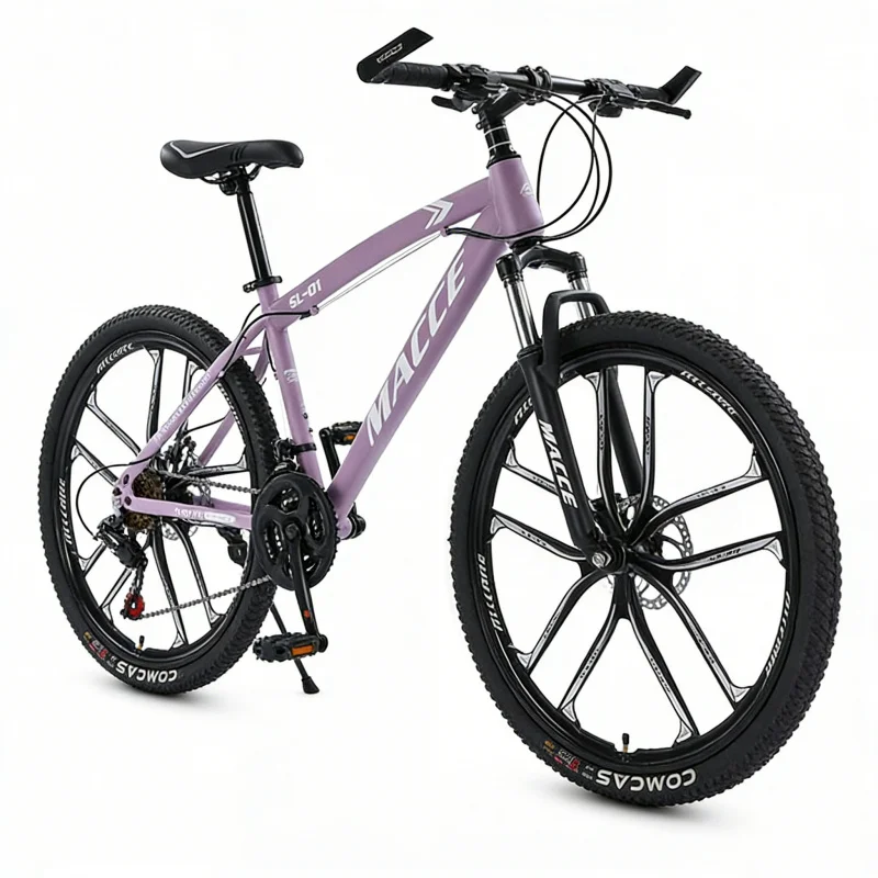 Mor 10 Vitesli Üst Düzey Dağ B - Cycling Low Gear incelemesi ve fiyatı
