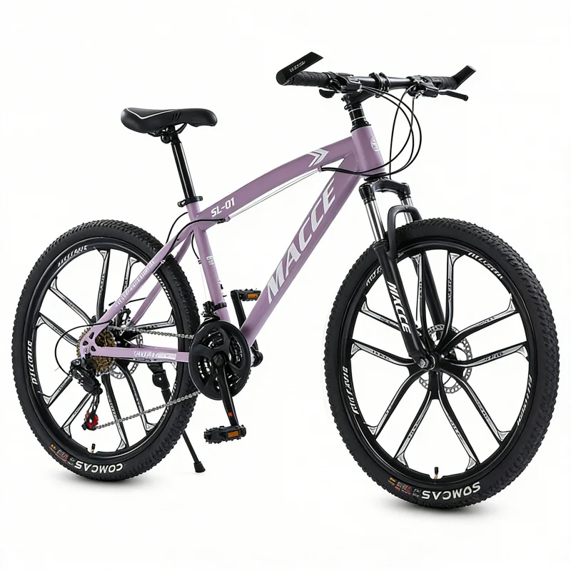 Mor 10 Vitesli Üst Düzey Dağ B - Cycling Low Gear incelemesi ve fiyatı